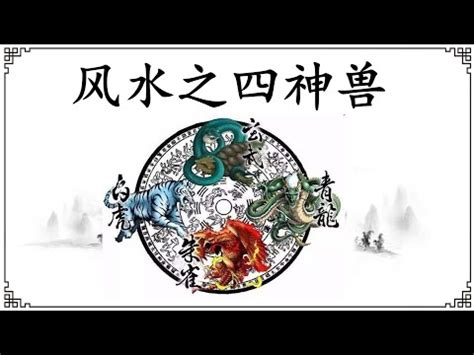 四聖獸 方位 竹子照片